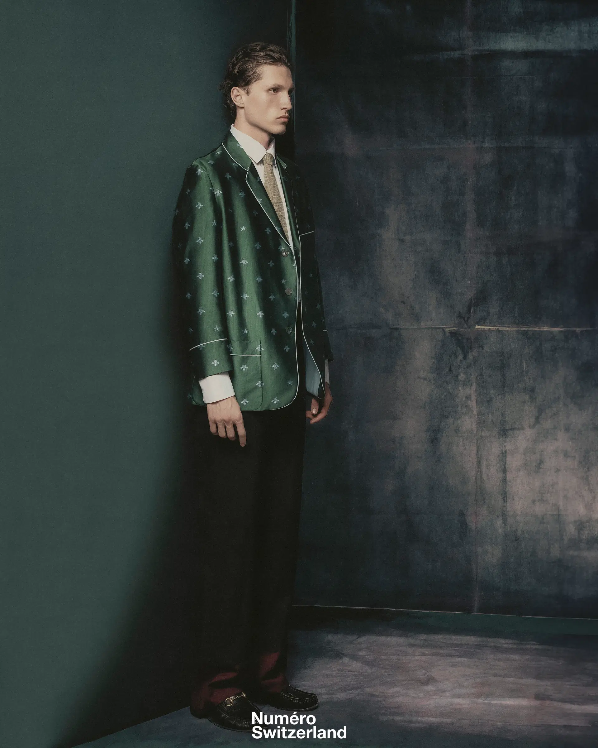 Michiel Francis Loonen portfolio