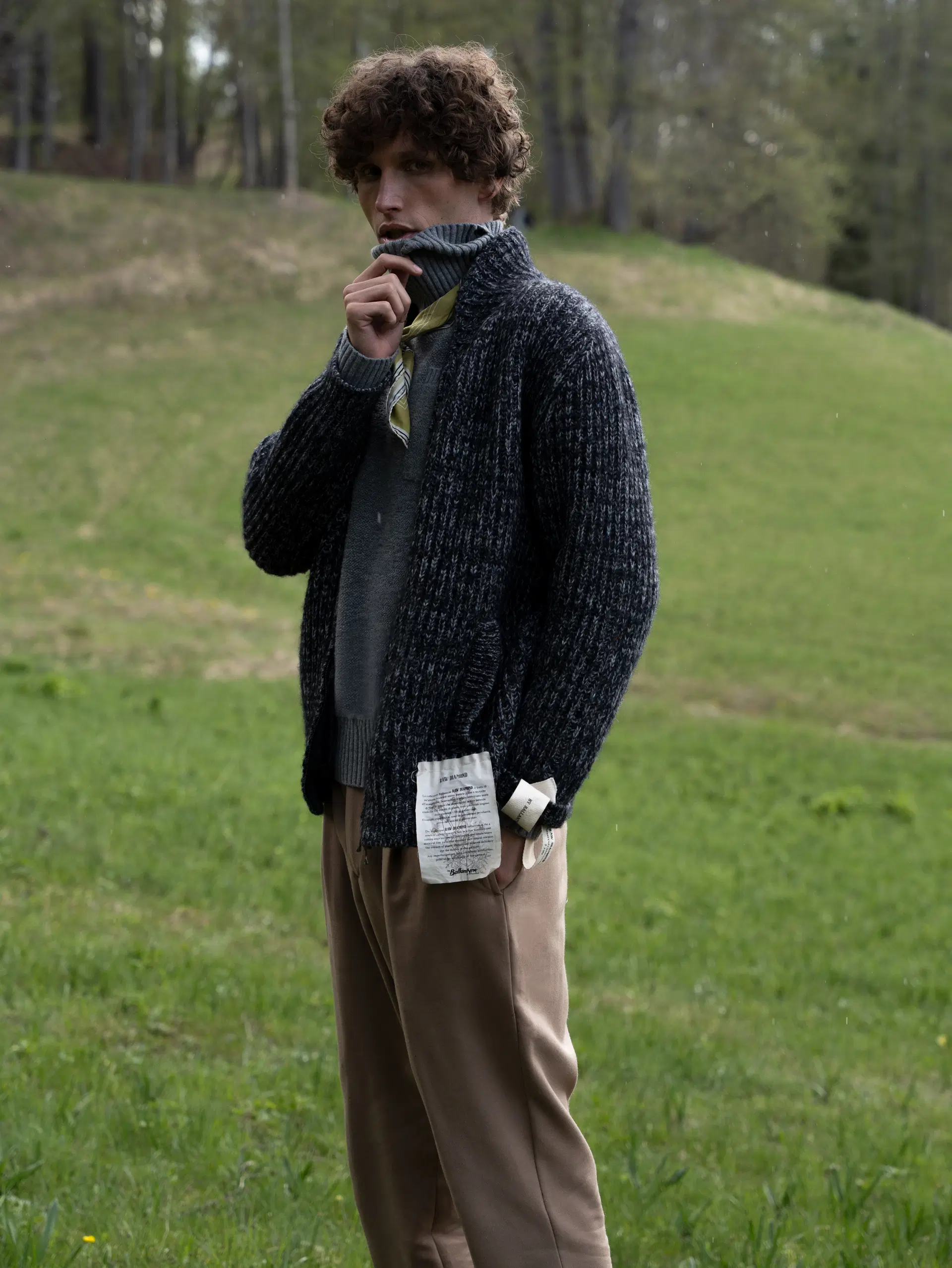 Michiel Francis Loonen portfolio