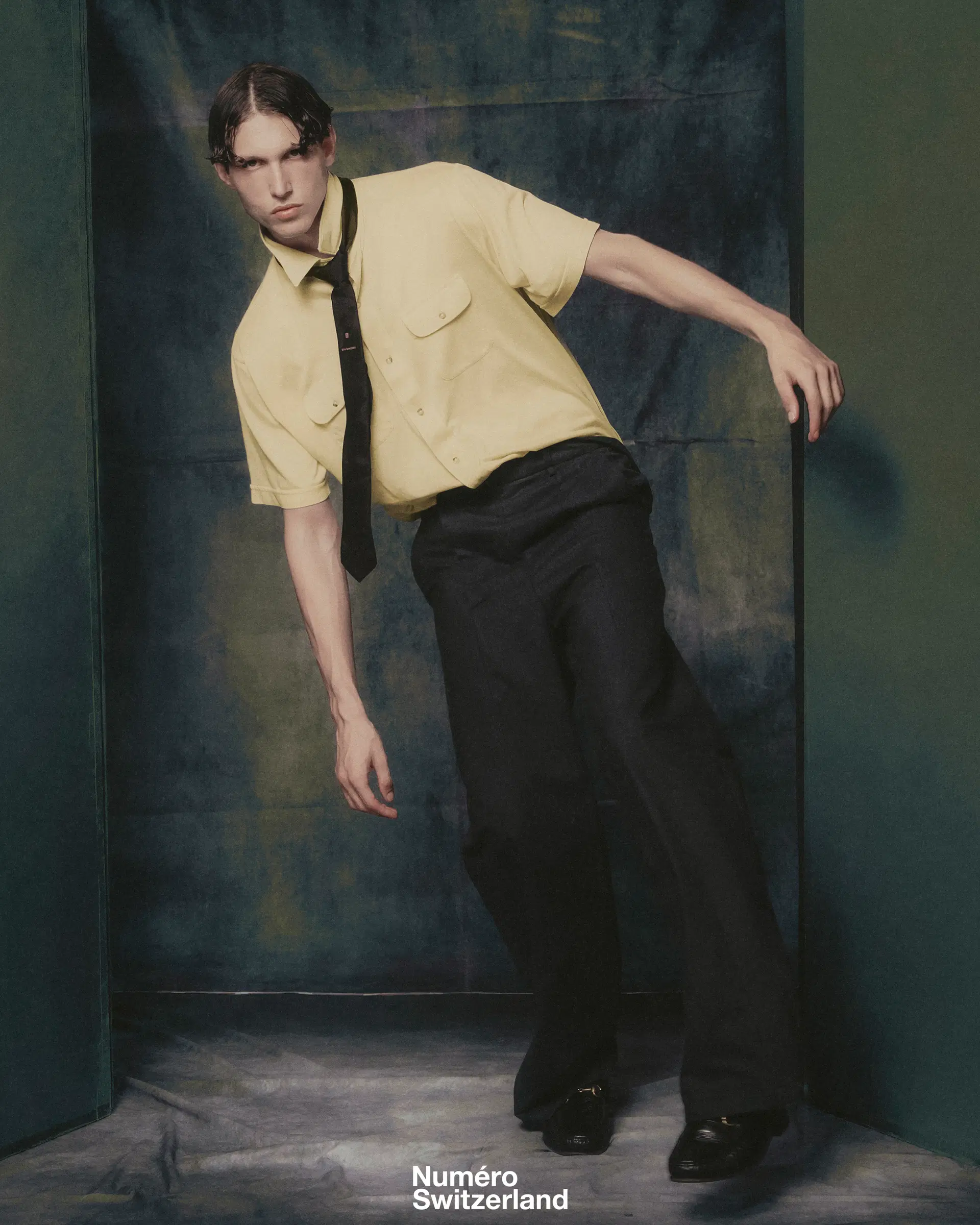 Michiel Francis Loonen portfolio