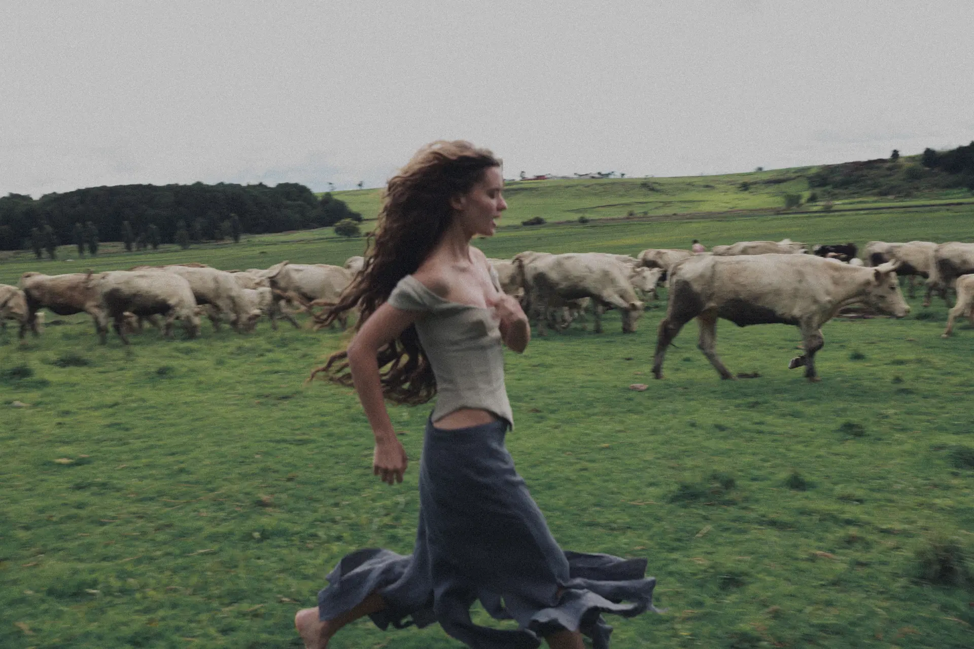 Natalia Garrido portfolio