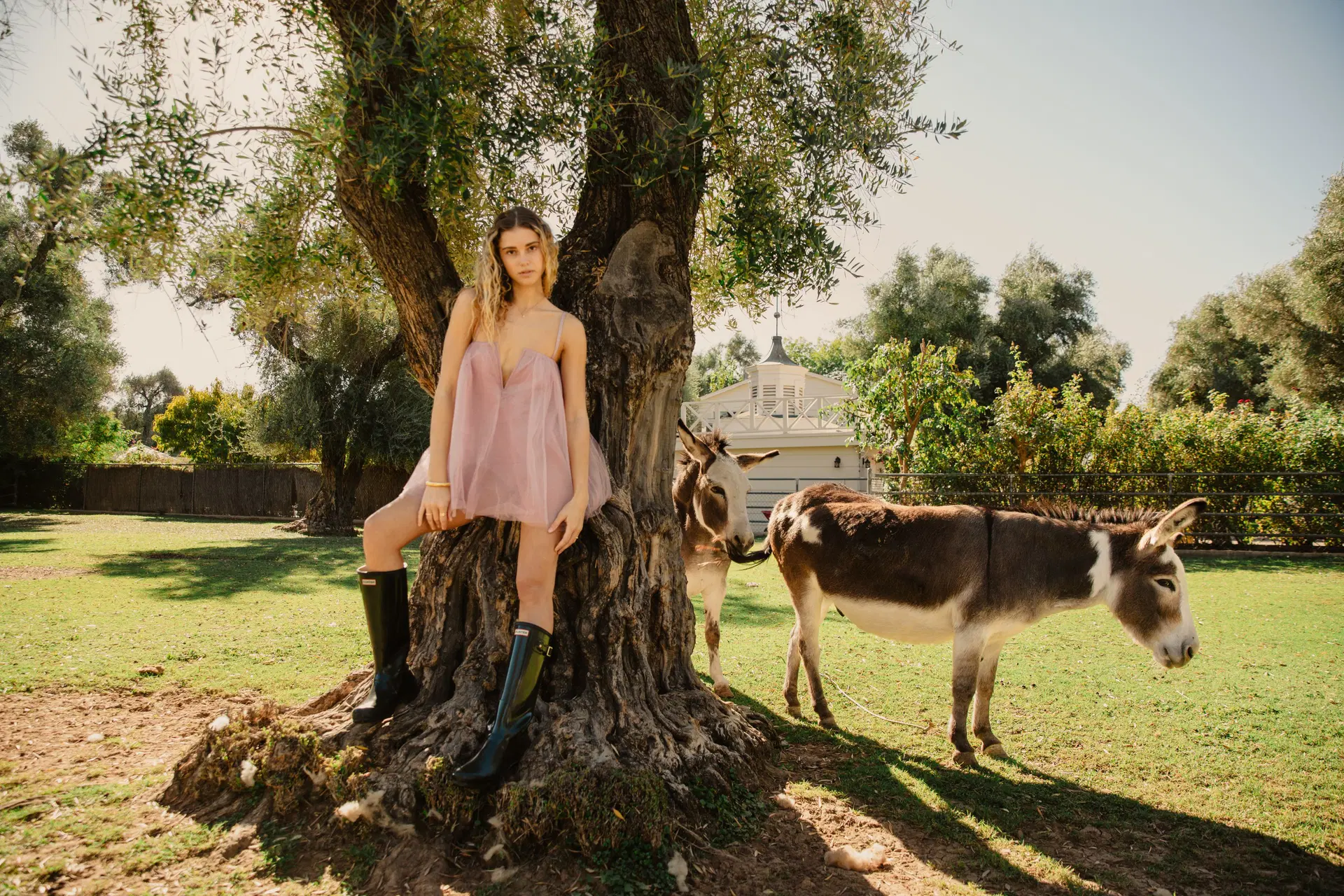 Ella Smith portfolio