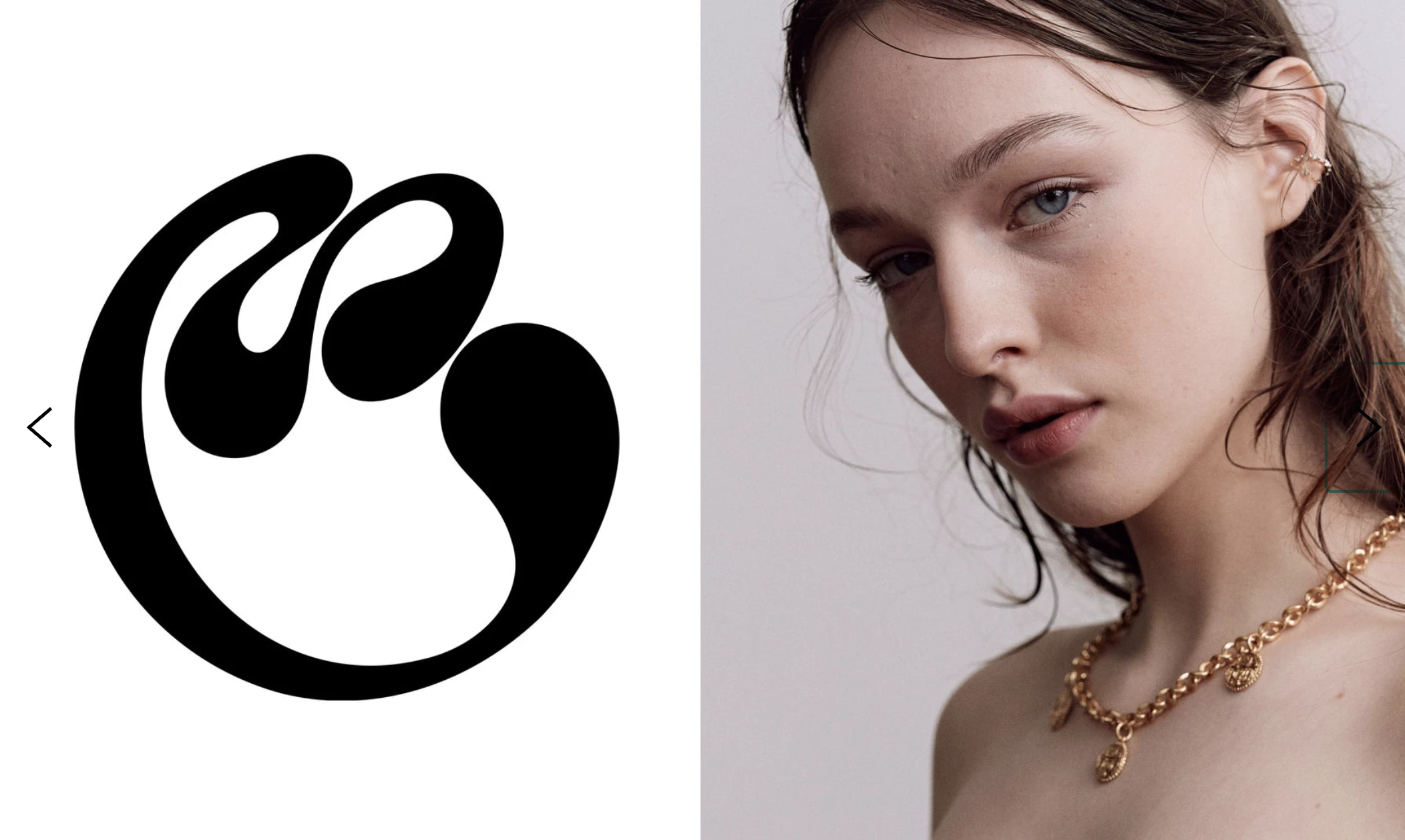 Auxanna portfolio