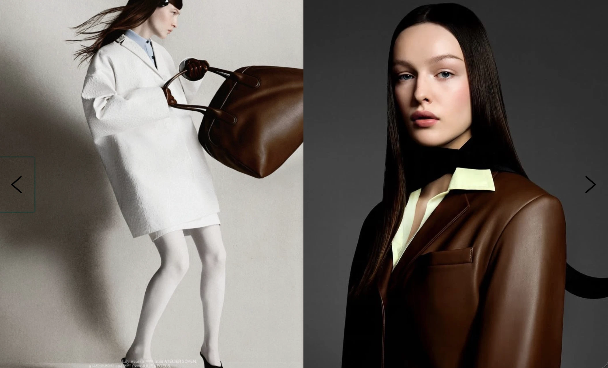 Auxanna portfolio