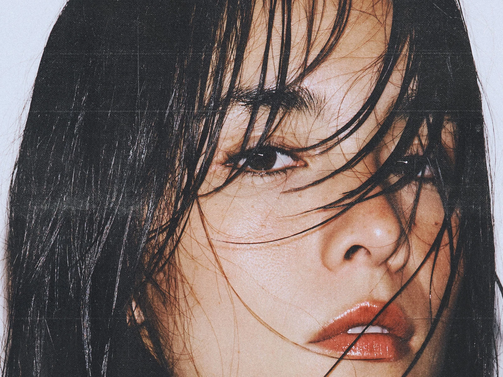 Lena Shan portfolio