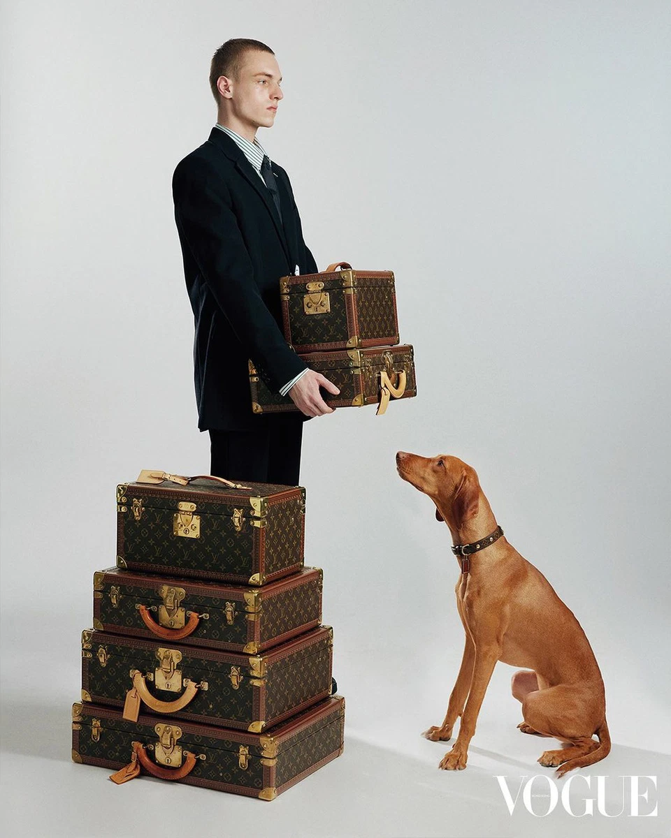 Dima Bashtavenko portfolio