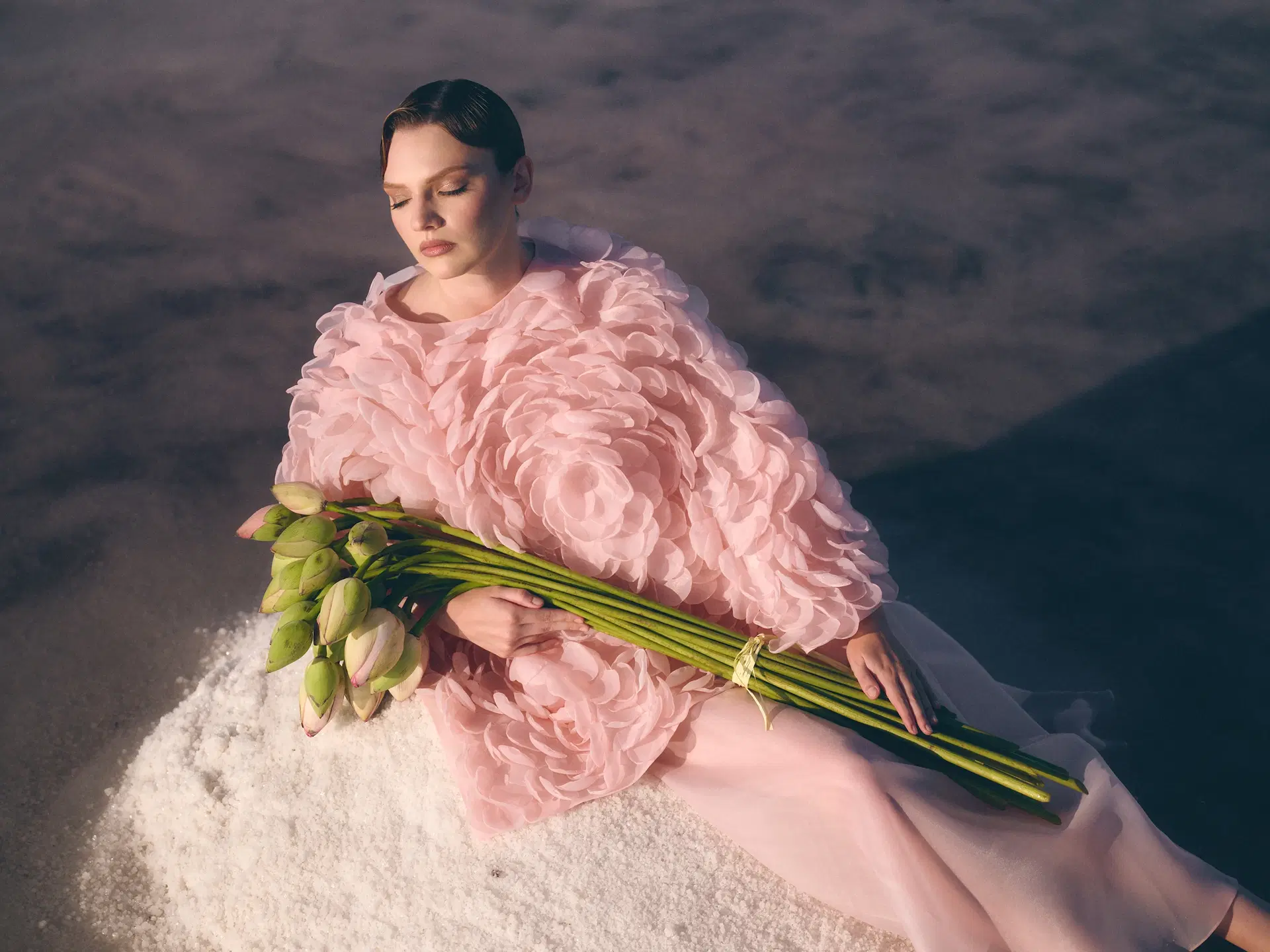 Tallus Olesia portfolio