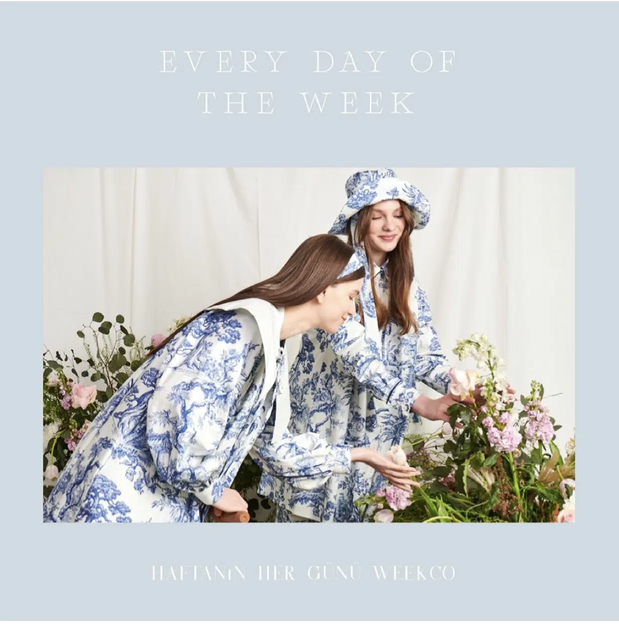 Tallus Olesia portfolio