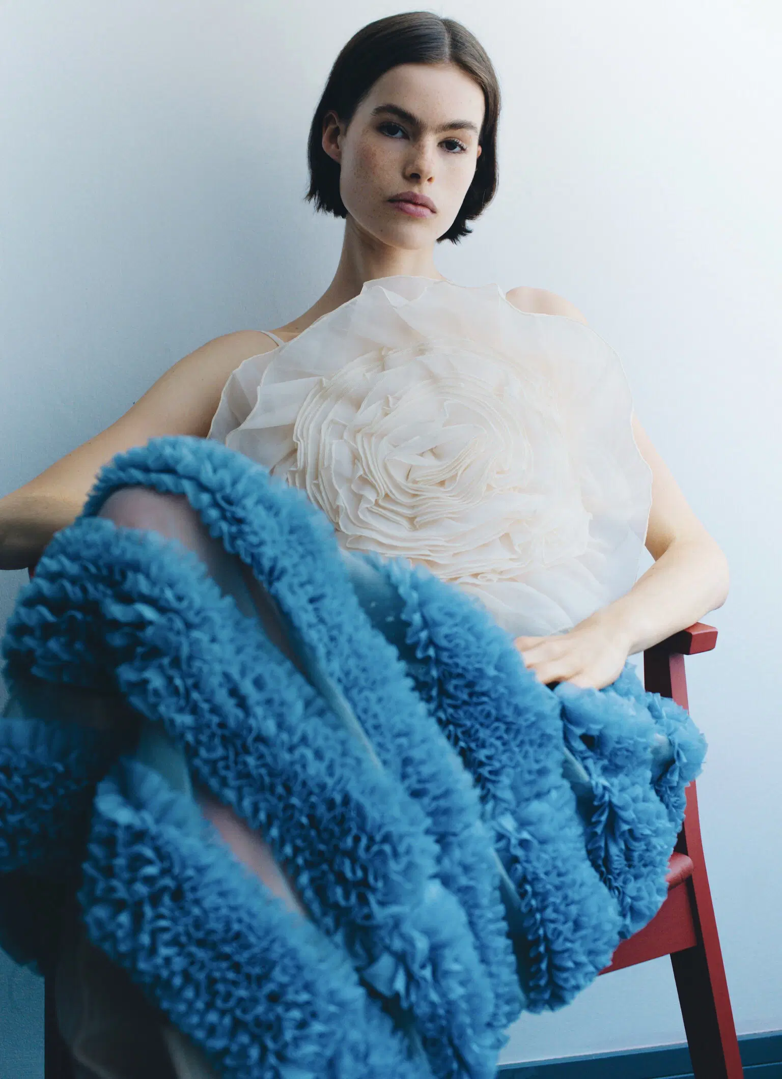 Vanessa Meissner  portfolio