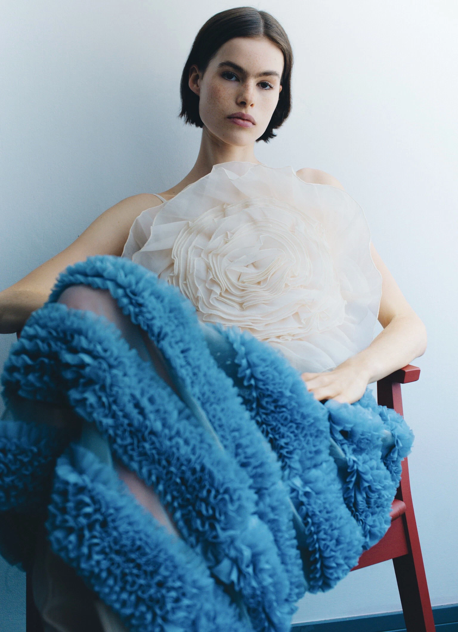 Vanessa Meissner  portfolio