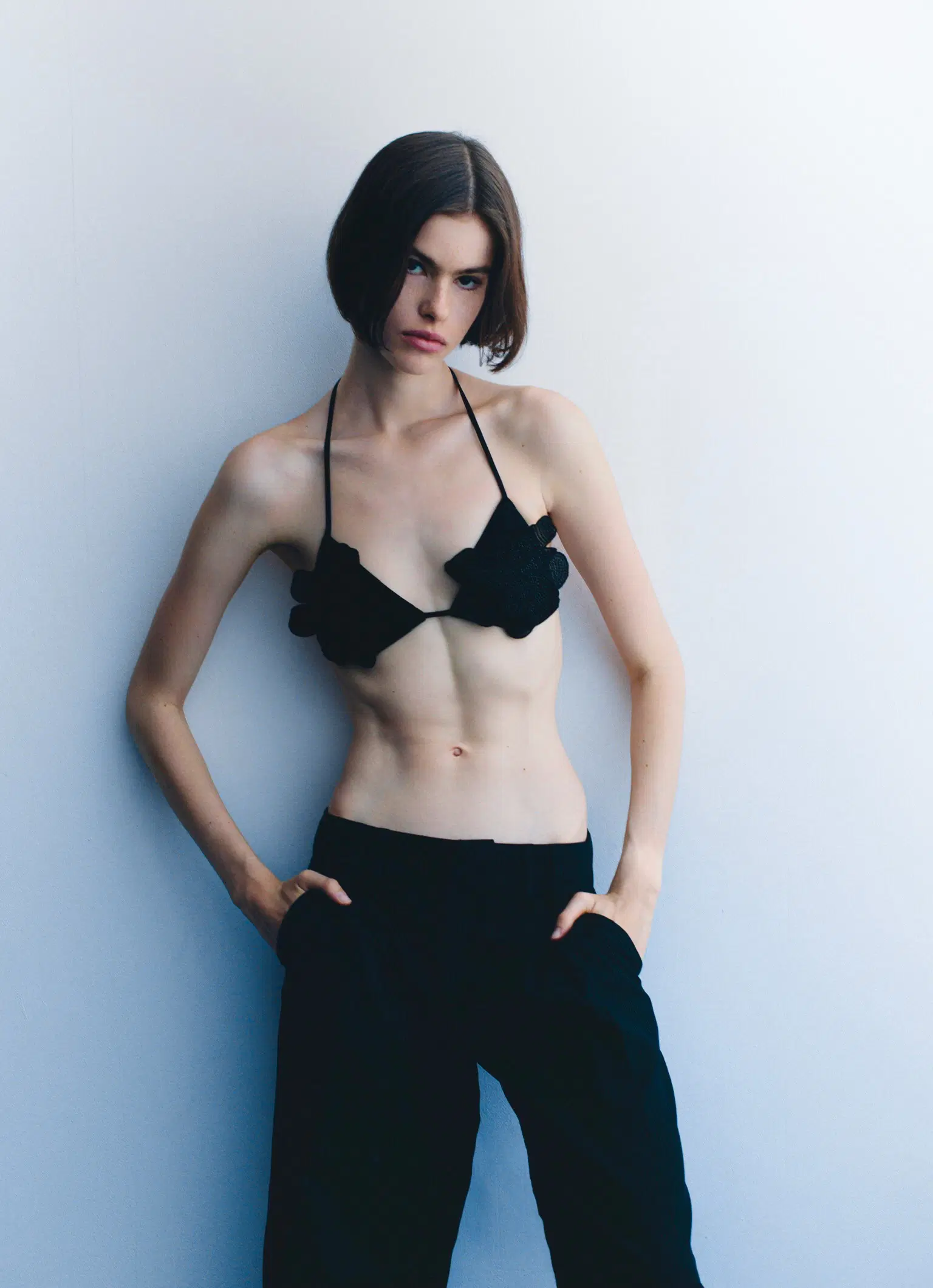 Vanessa Meissner  portfolio