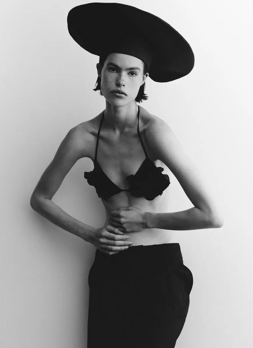 Vanessa Meissner  portfolio