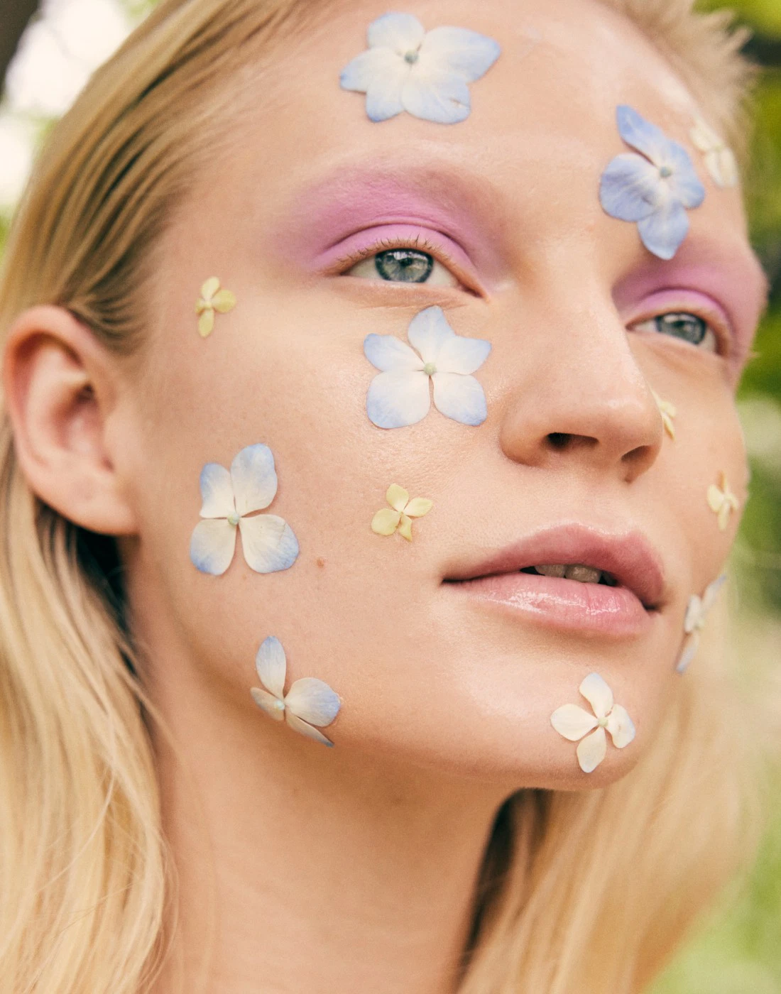 Madison Tabeek  portfolio