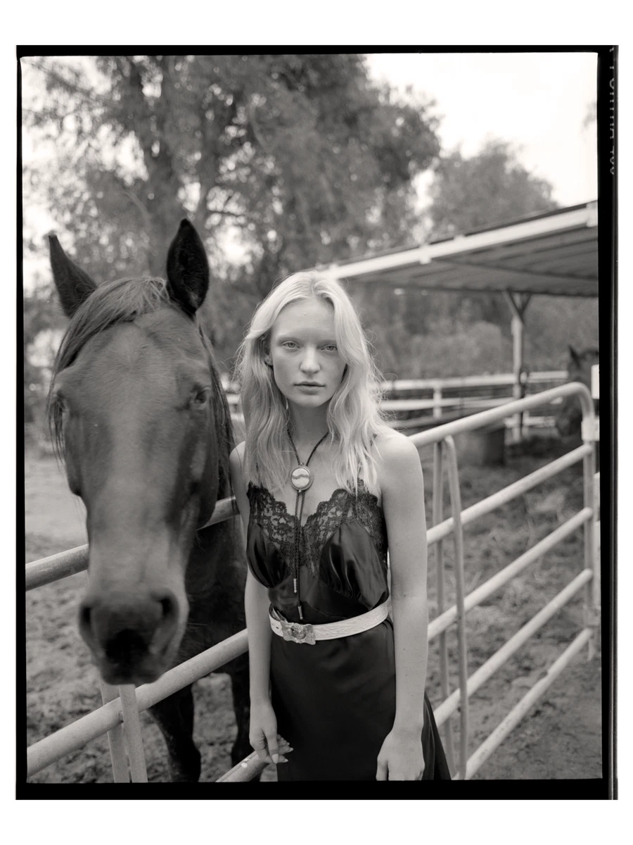 Madison Tabeek  portfolio