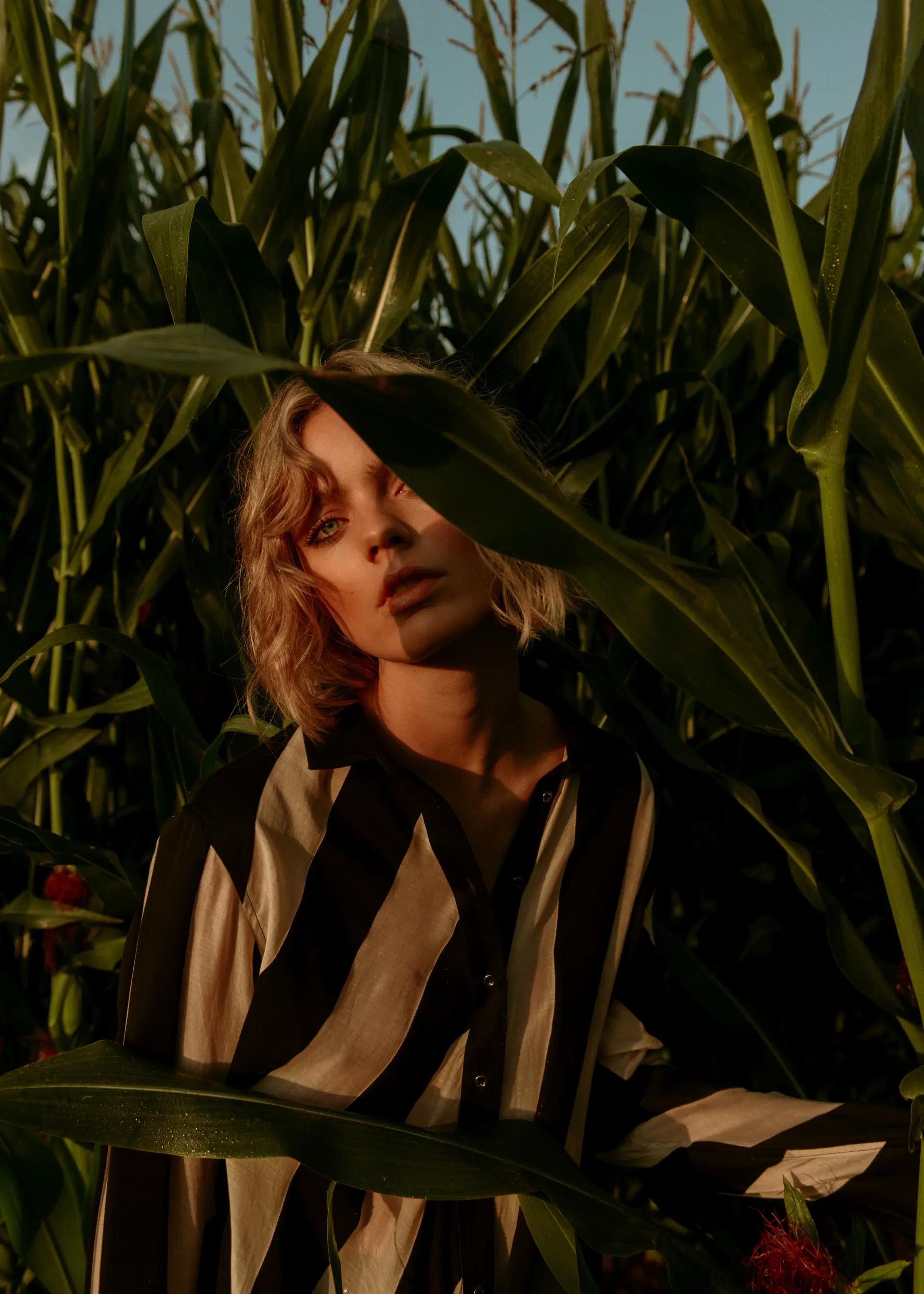 Daan Blaauwendraad portfolio