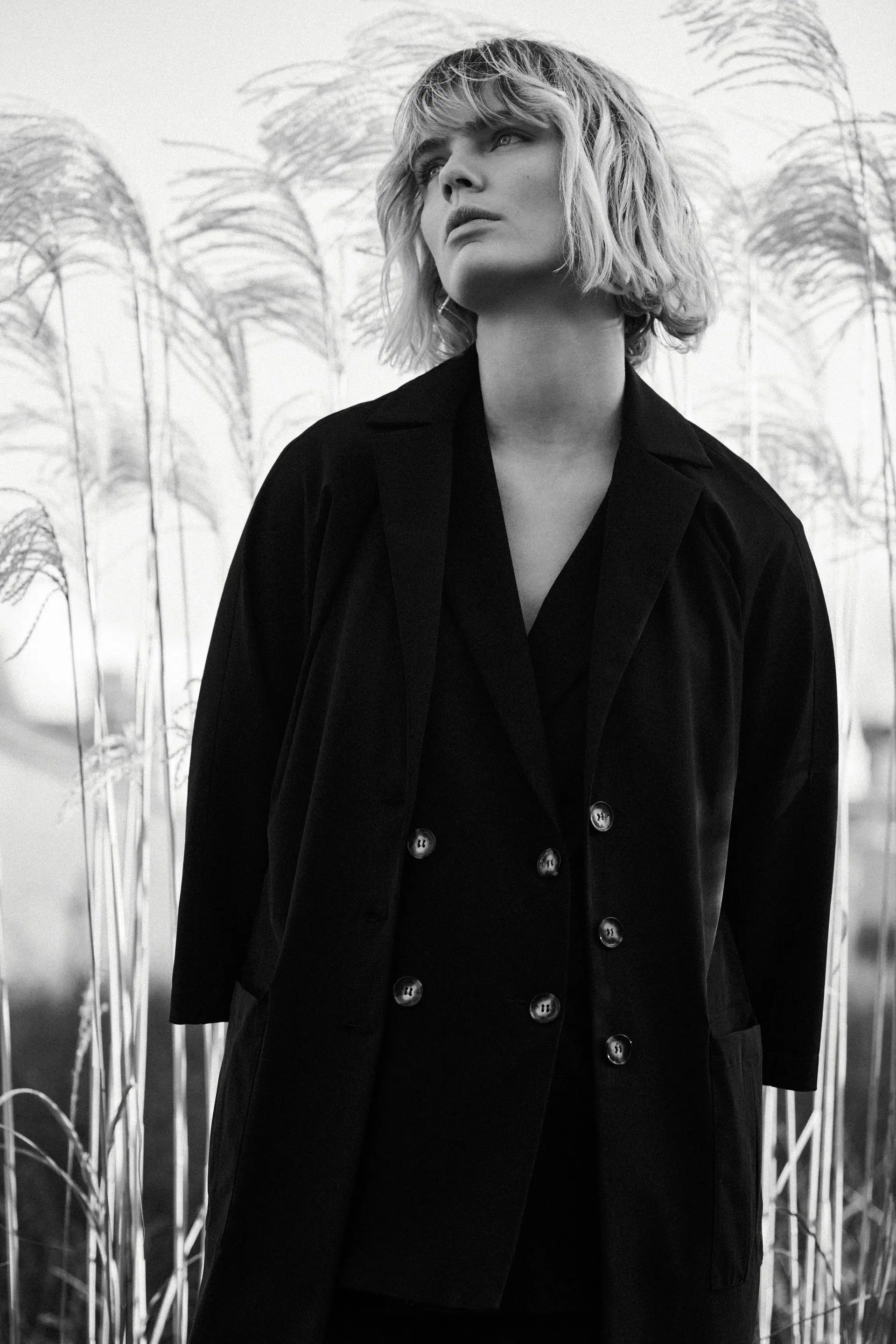 Daan Blaauwendraad portfolio