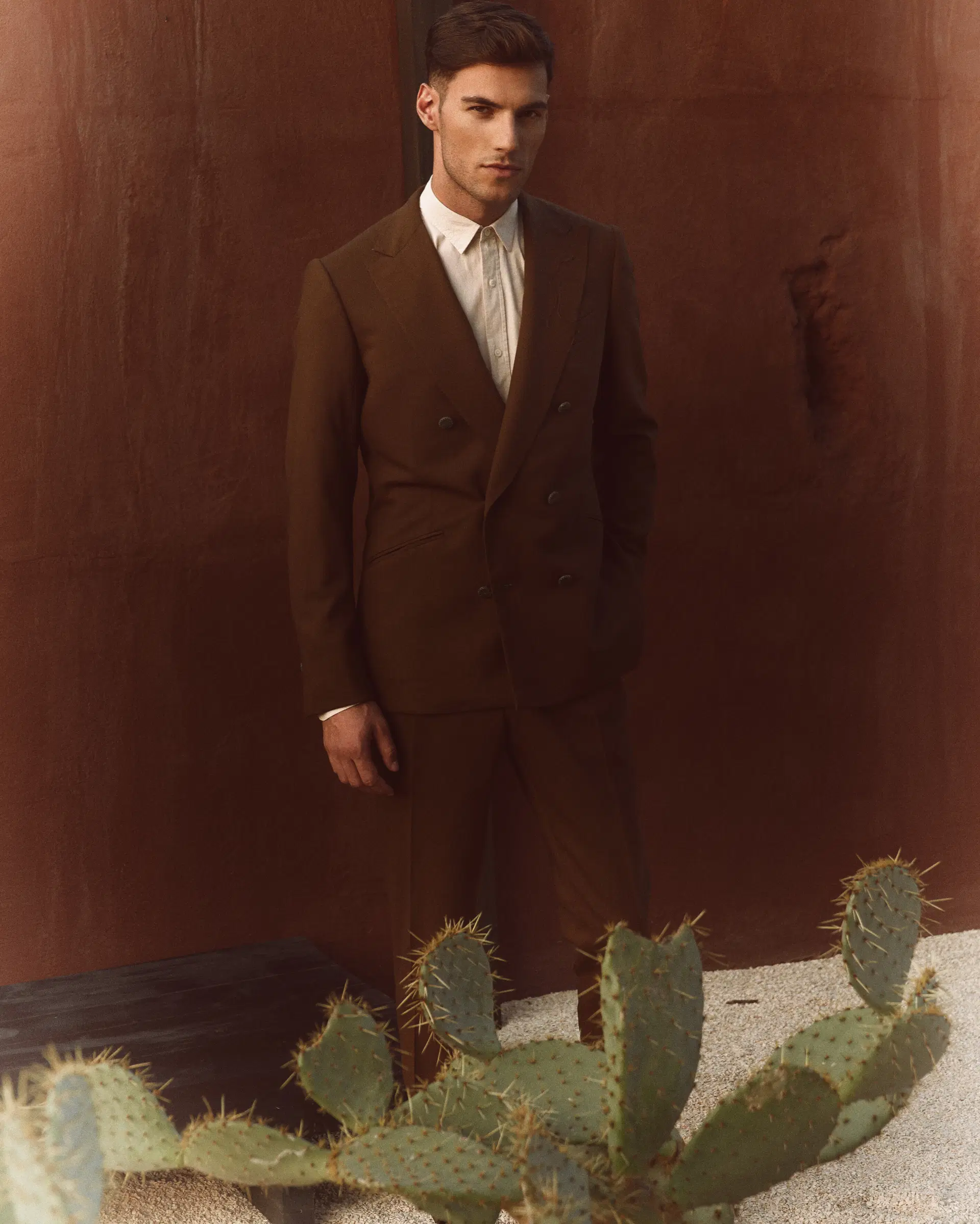 Francesco D'Aquino portfolio