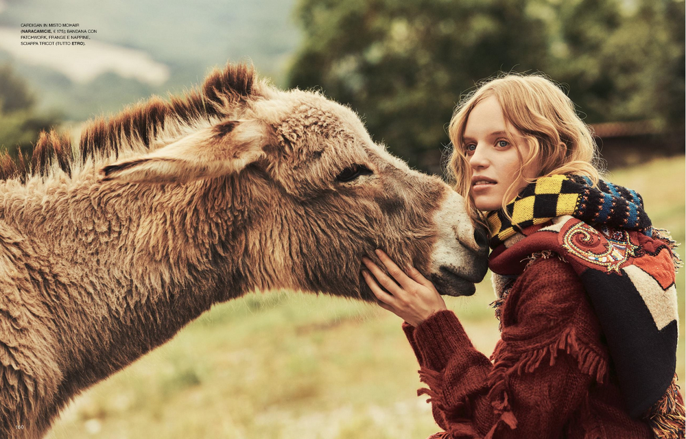 DARIA KOT portfolio image