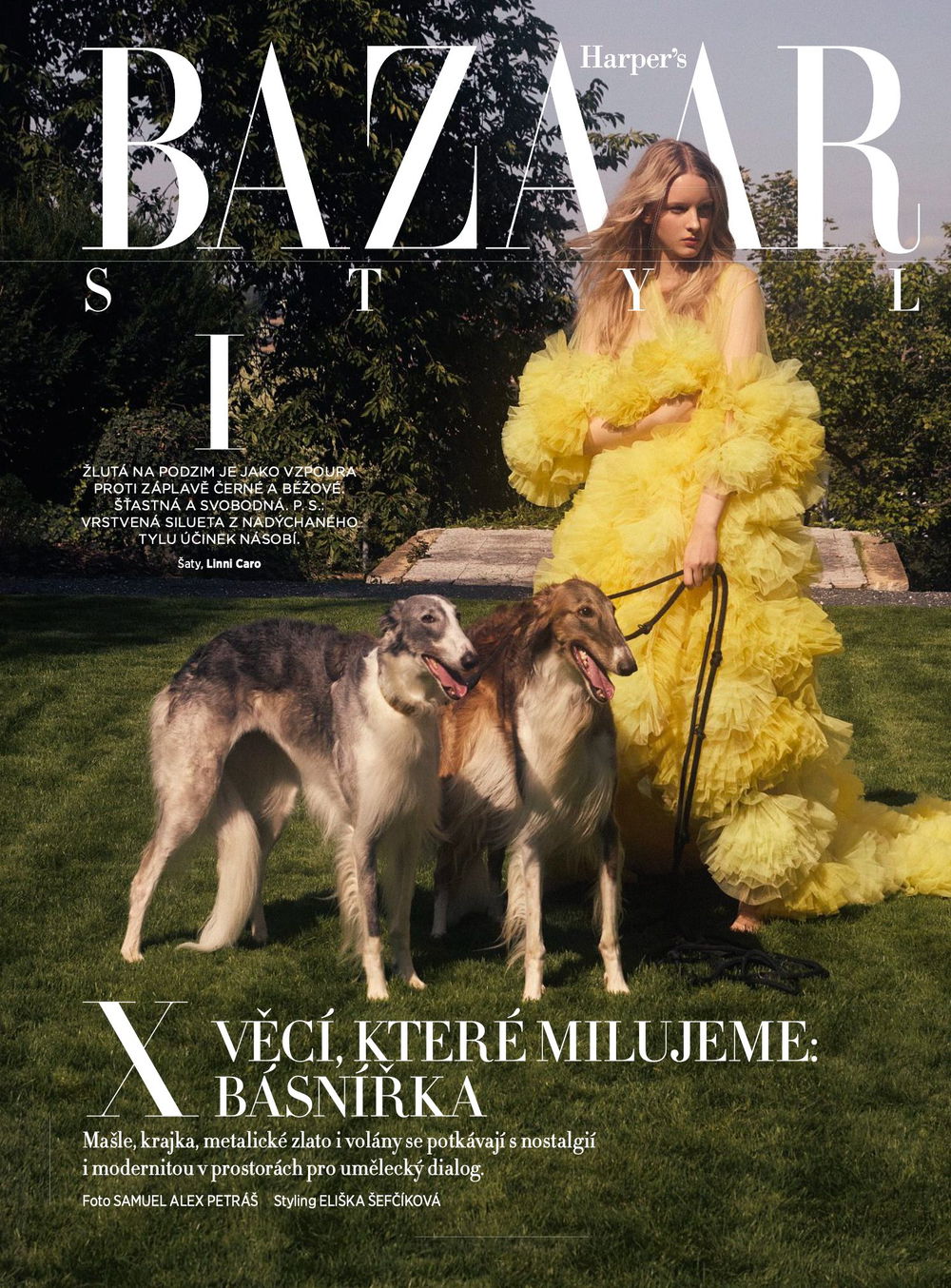 TEREZA portfolio image