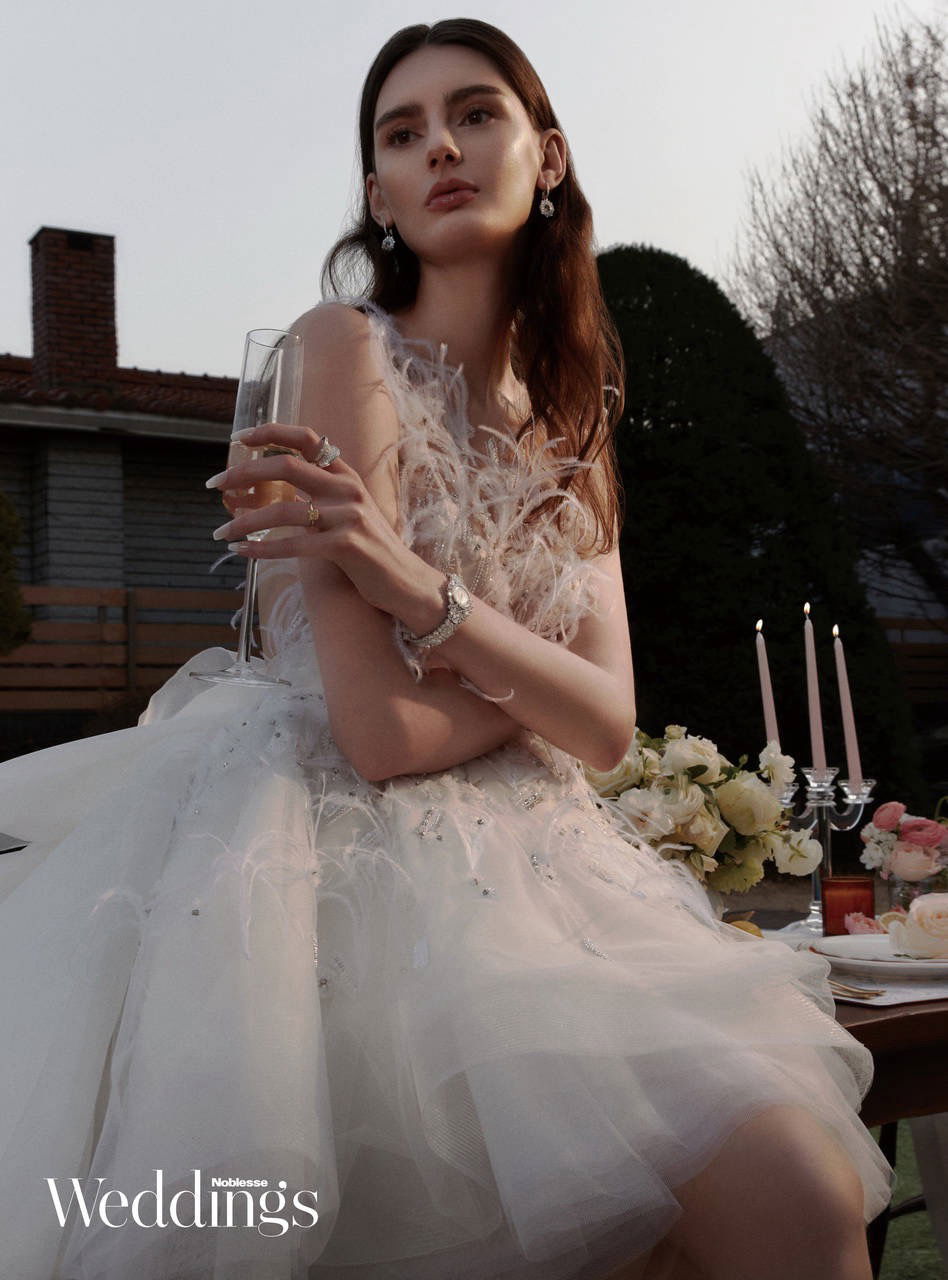 ALINA portfolio image