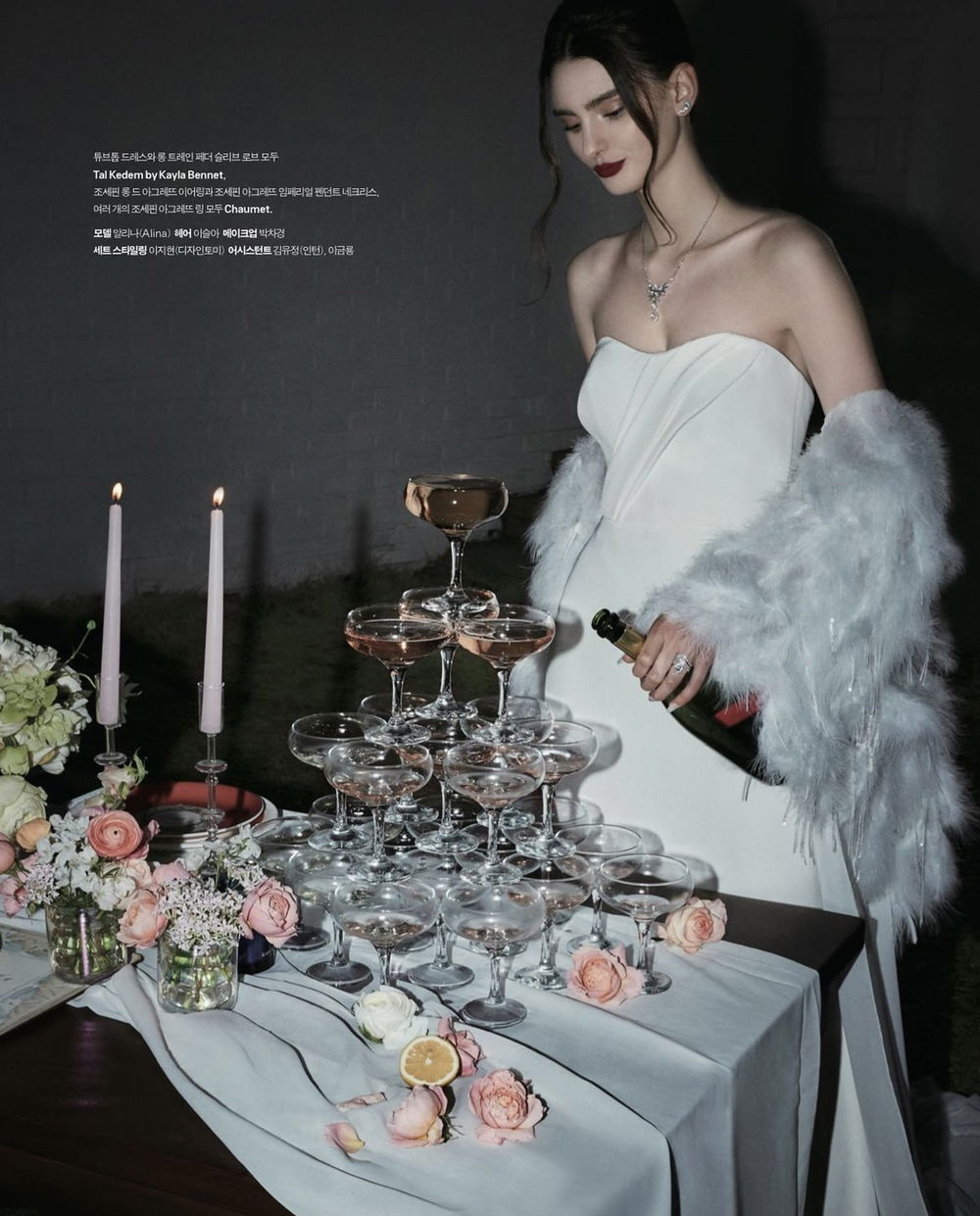 ALINA portfolio image