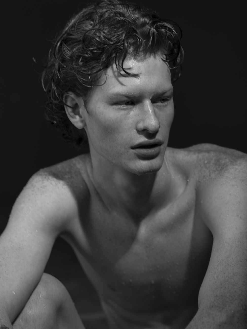 DANIL portfolio image