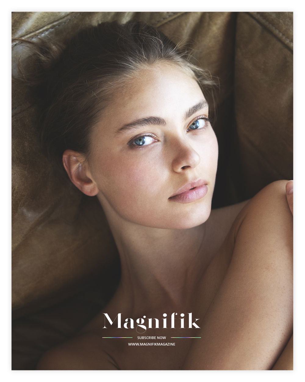 ARIEL portfolio image