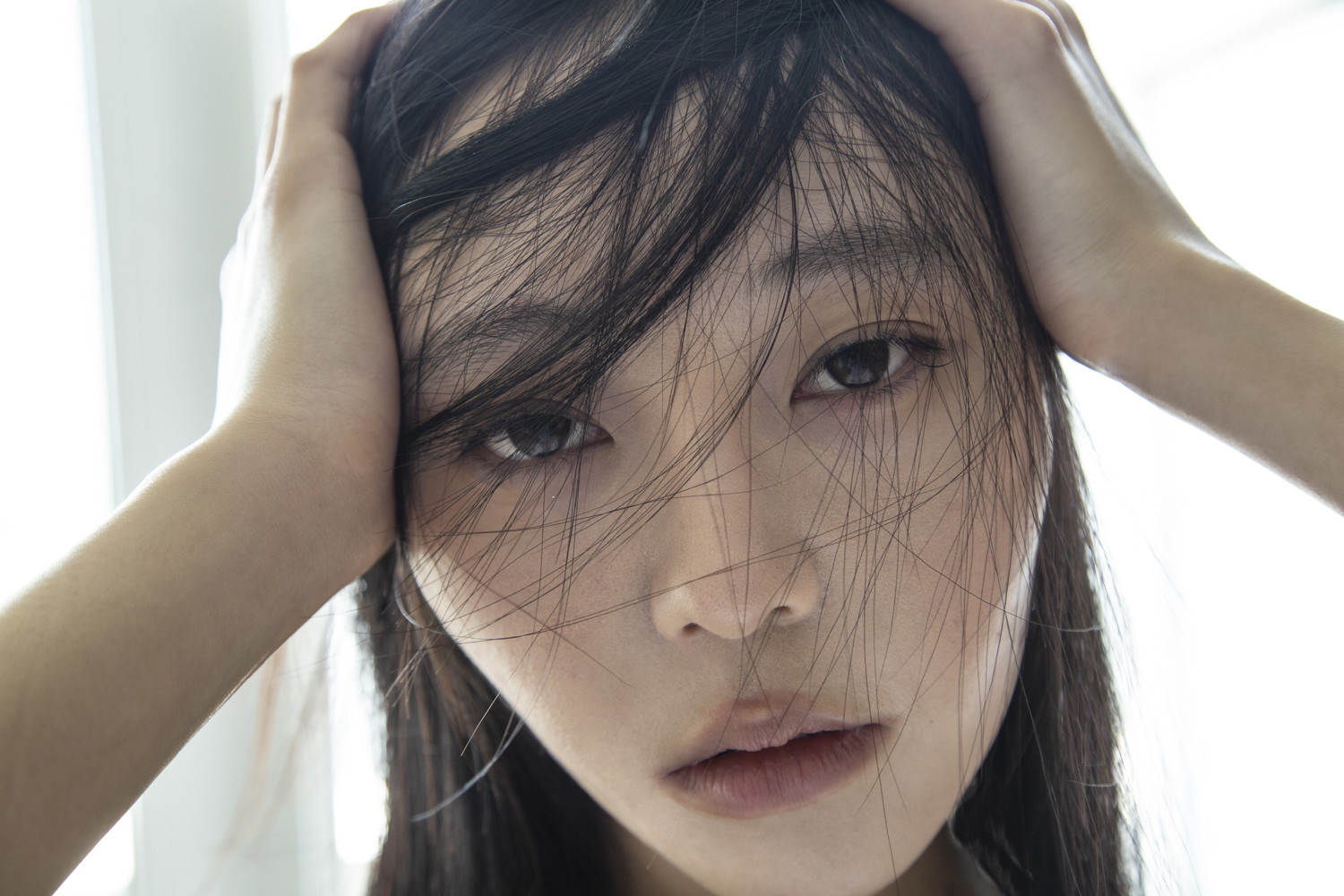 lily portfolio image 7