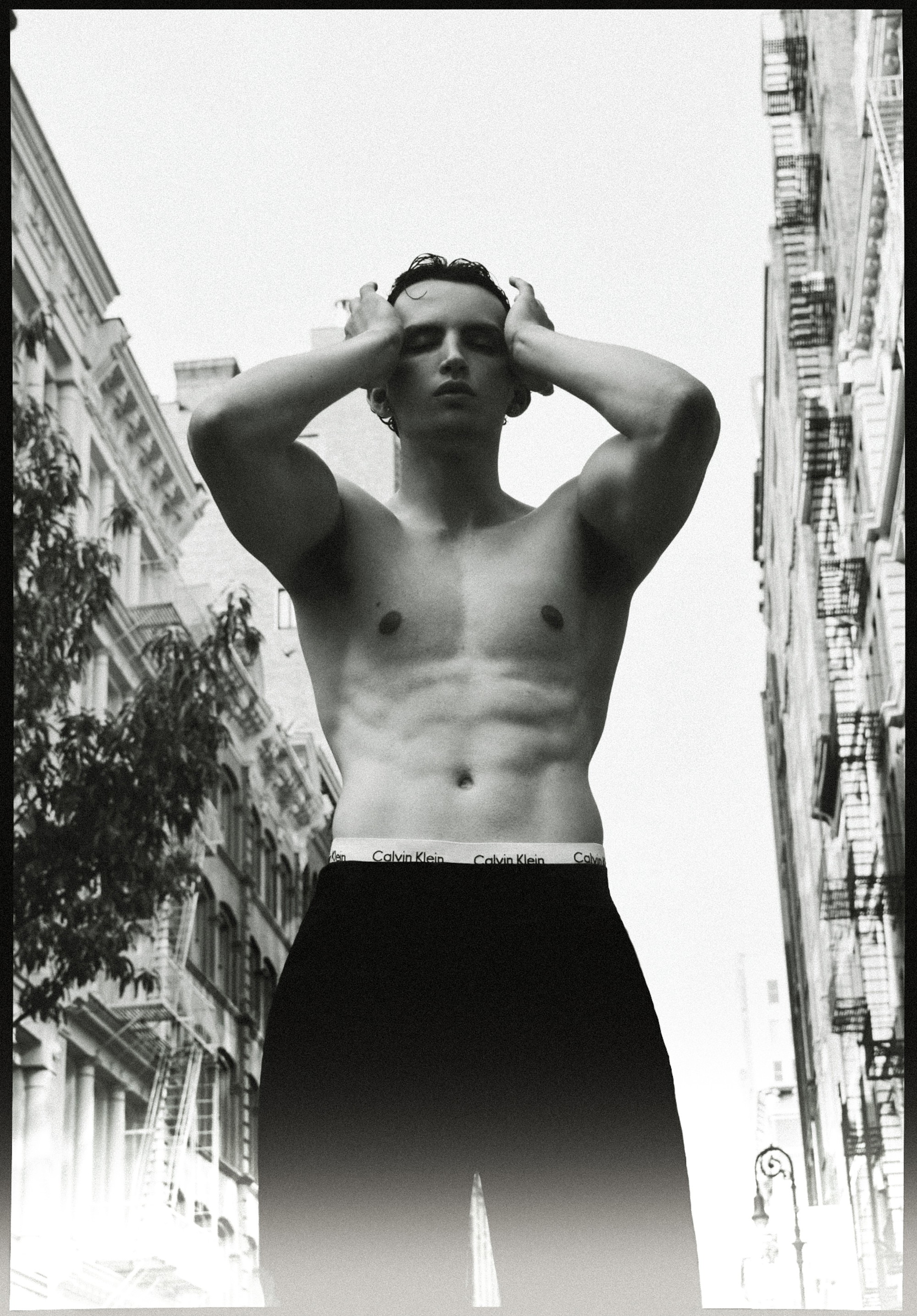 pitaro portfolio image 6