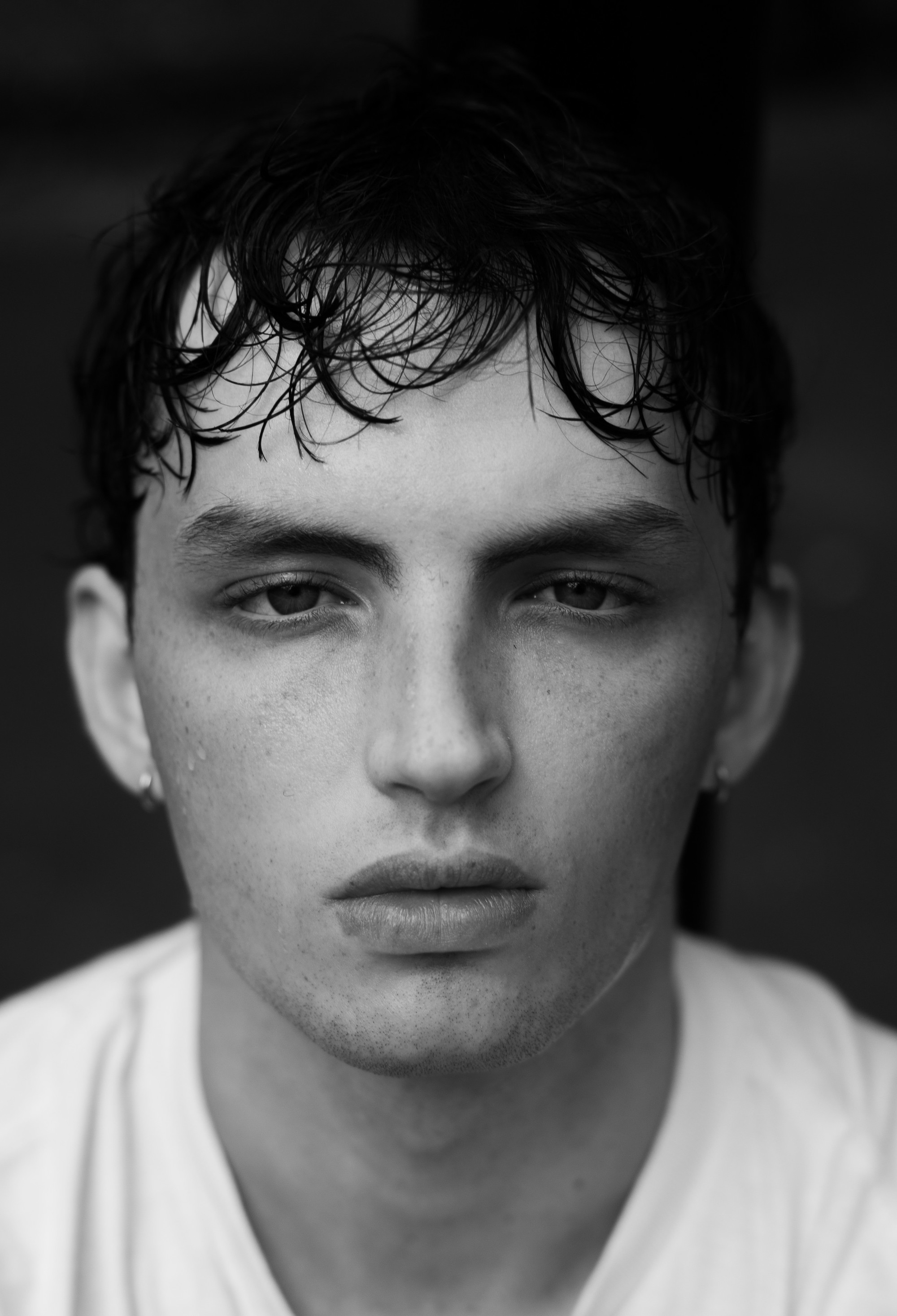 pitaro portfolio image 7