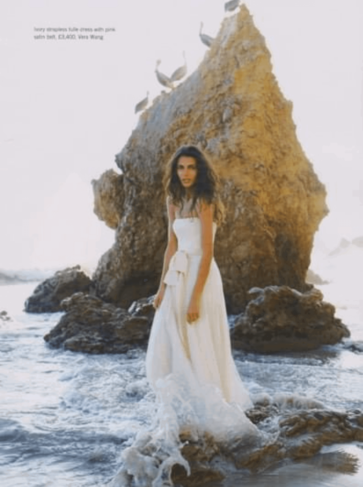 cooper (muah)  portfolio image 41