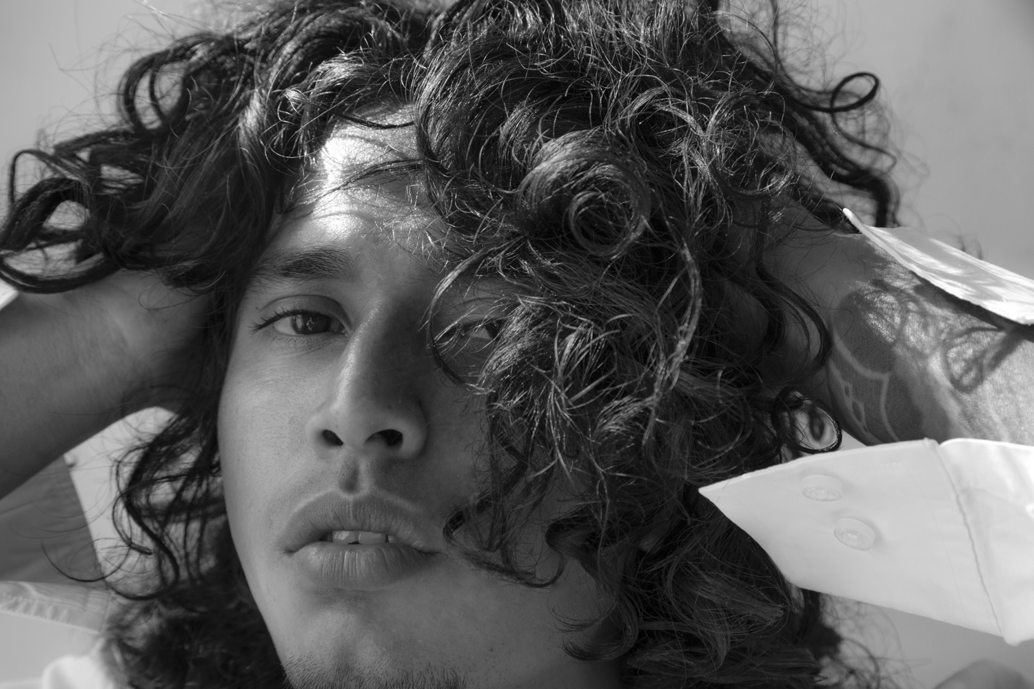 will portfolio image 35