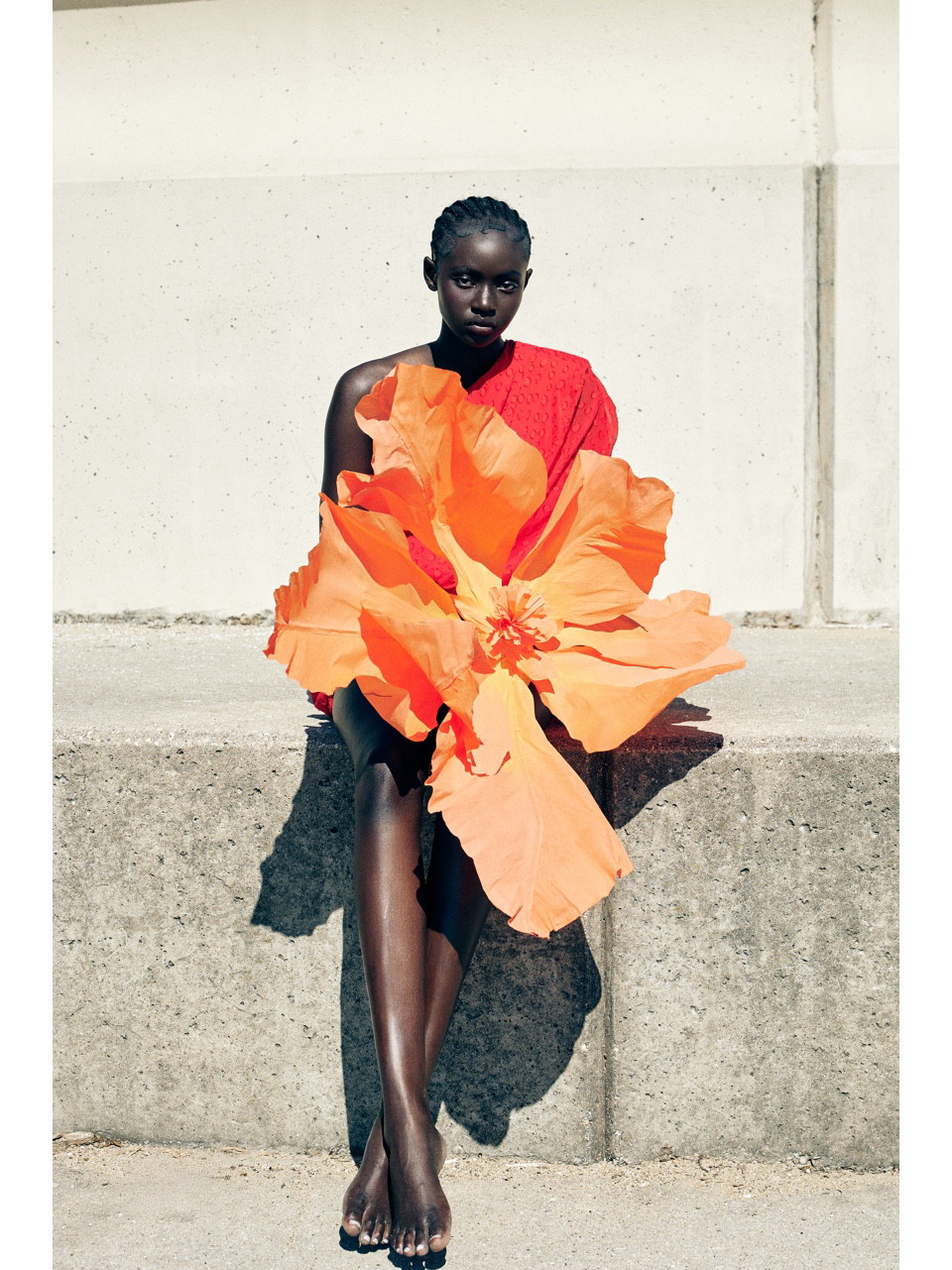 adut portfolio image 23