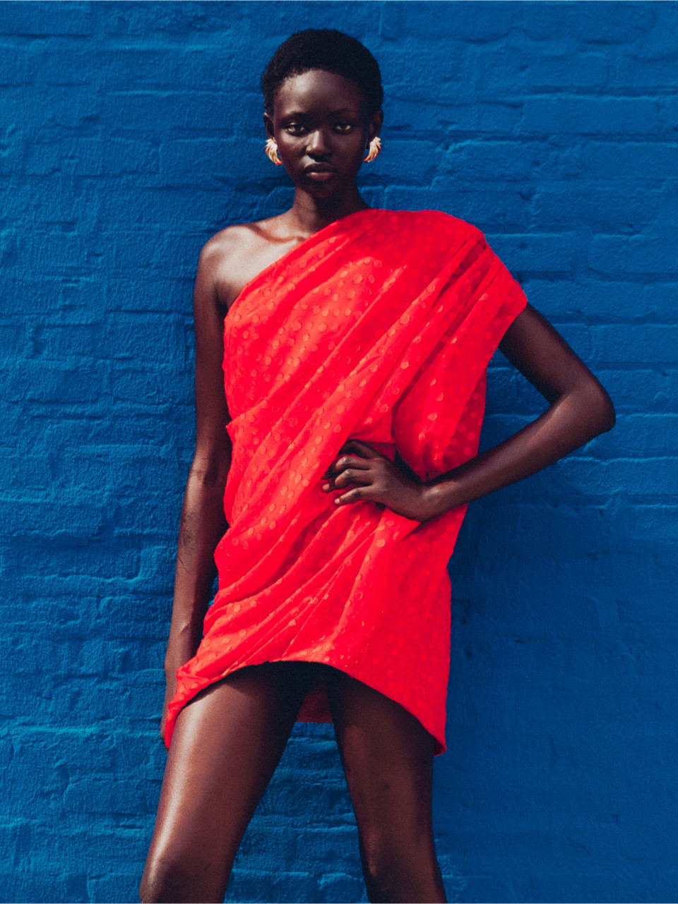 adut portfolio image 10