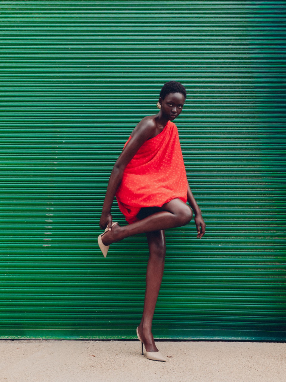 adut portfolio image 9