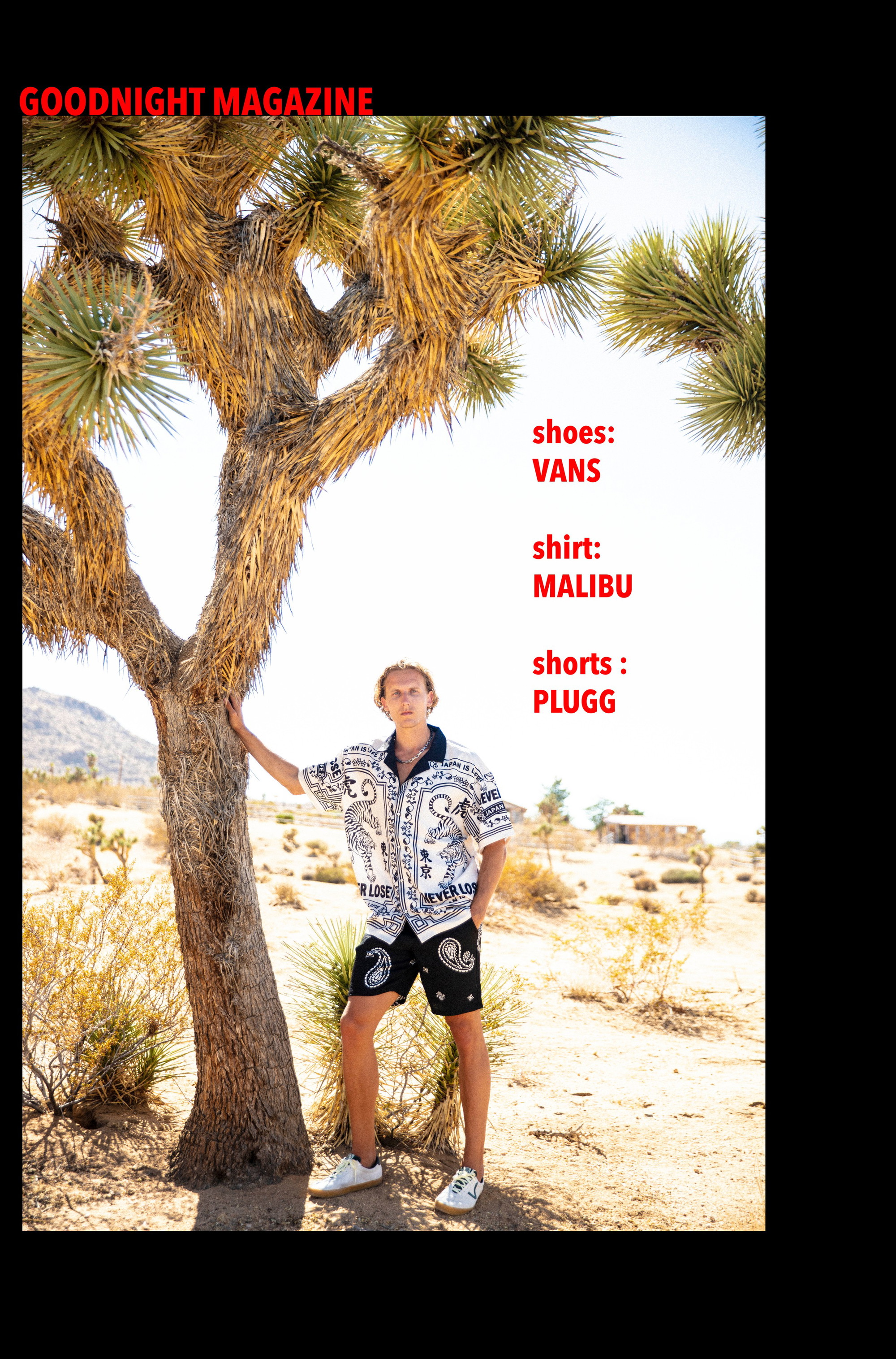 haid portfolio image 23