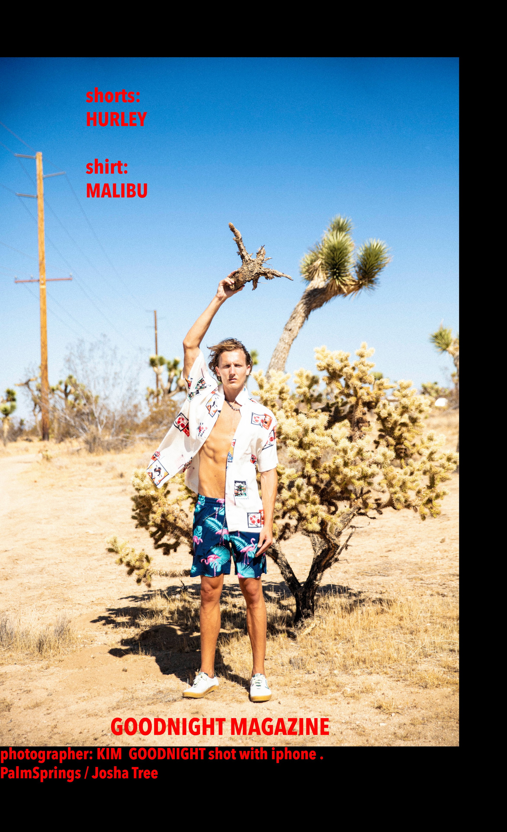 haid portfolio image 21