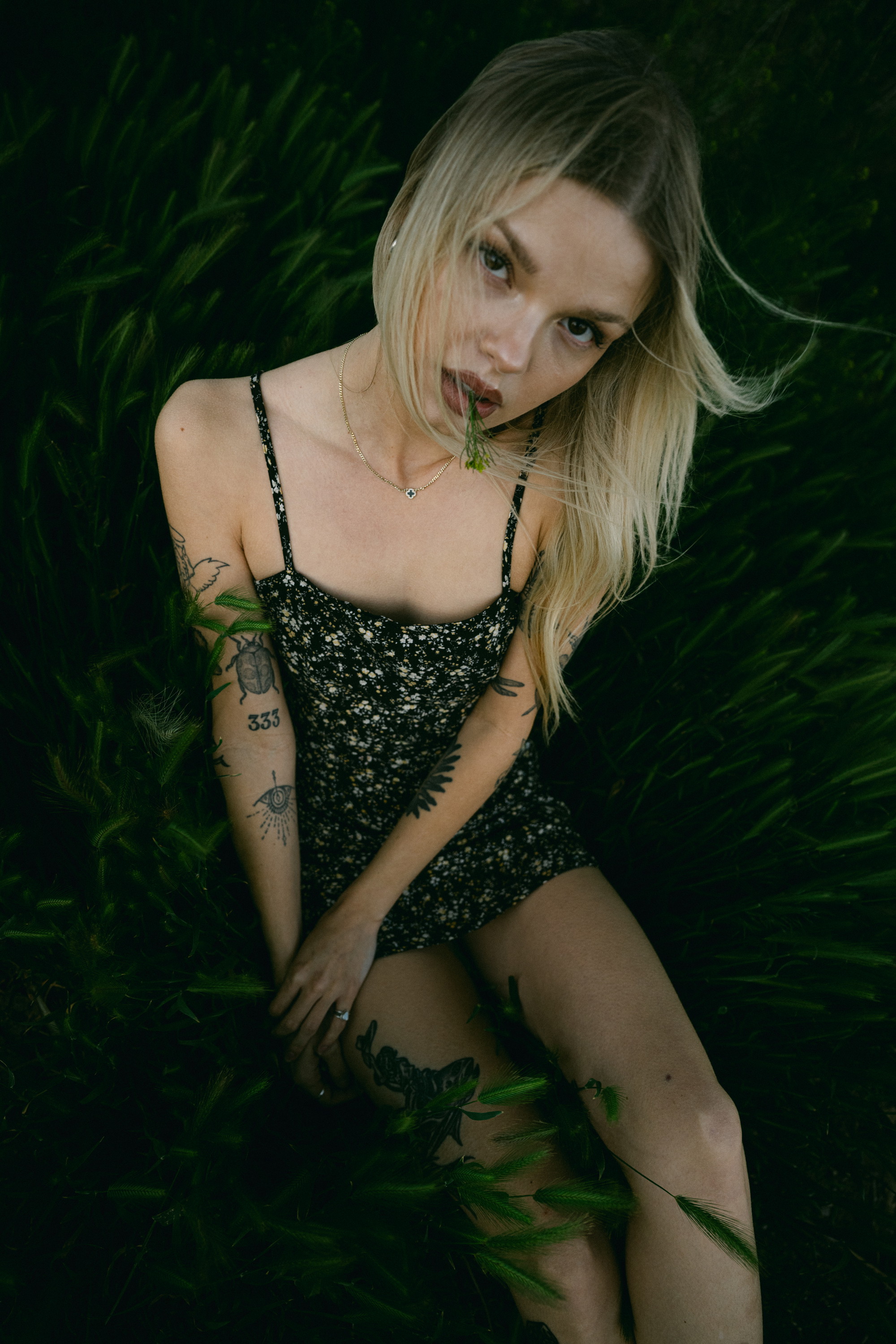 Haily portfolio image 4