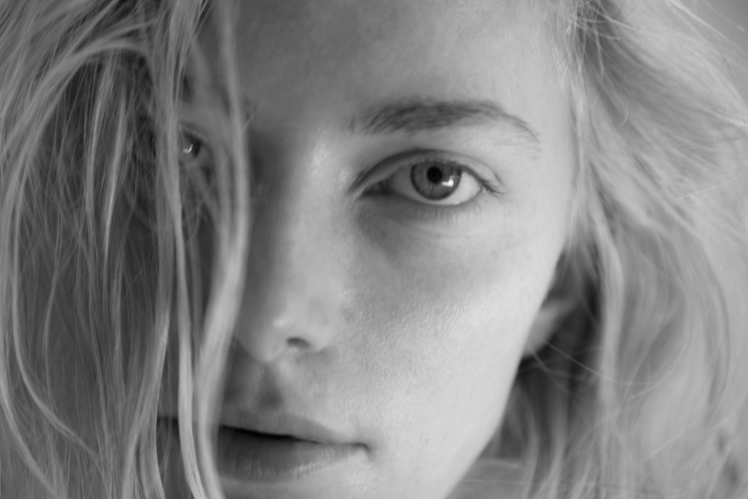 cameron portfolio image 25