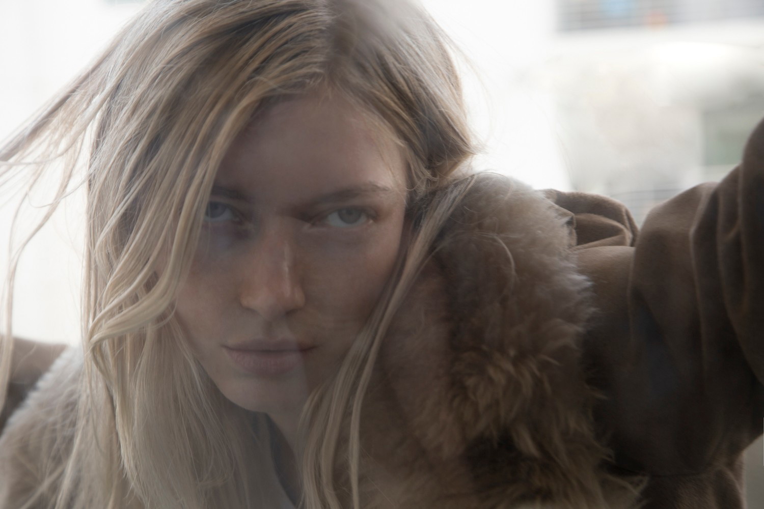 cameron portfolio image 2