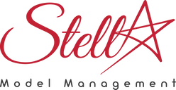 Stella Models